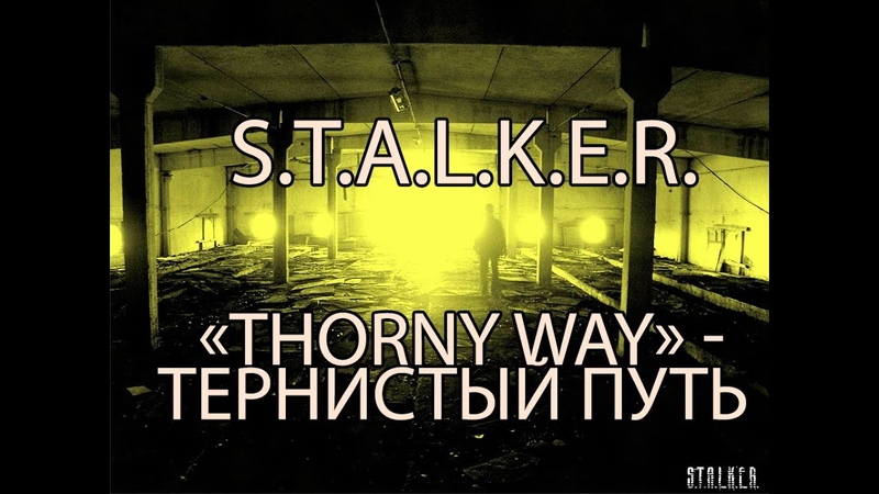постер к S.T.A.L.K.E.R. Зов Припяти - Тернистый путь - Thorny Way (2019) PC/MOD